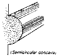 m-toro.gif (893 bytes)