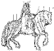 vacia-3.gif (2461 bytes)