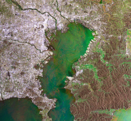 Bah&iacute;a de Tokyo-Jap&oacute;n