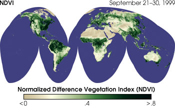 NDVI Global