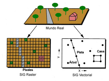 Comparaci�n entre SIG raster y vectorial 