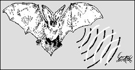 Emisi�n de ondas sonoras de los murcielago